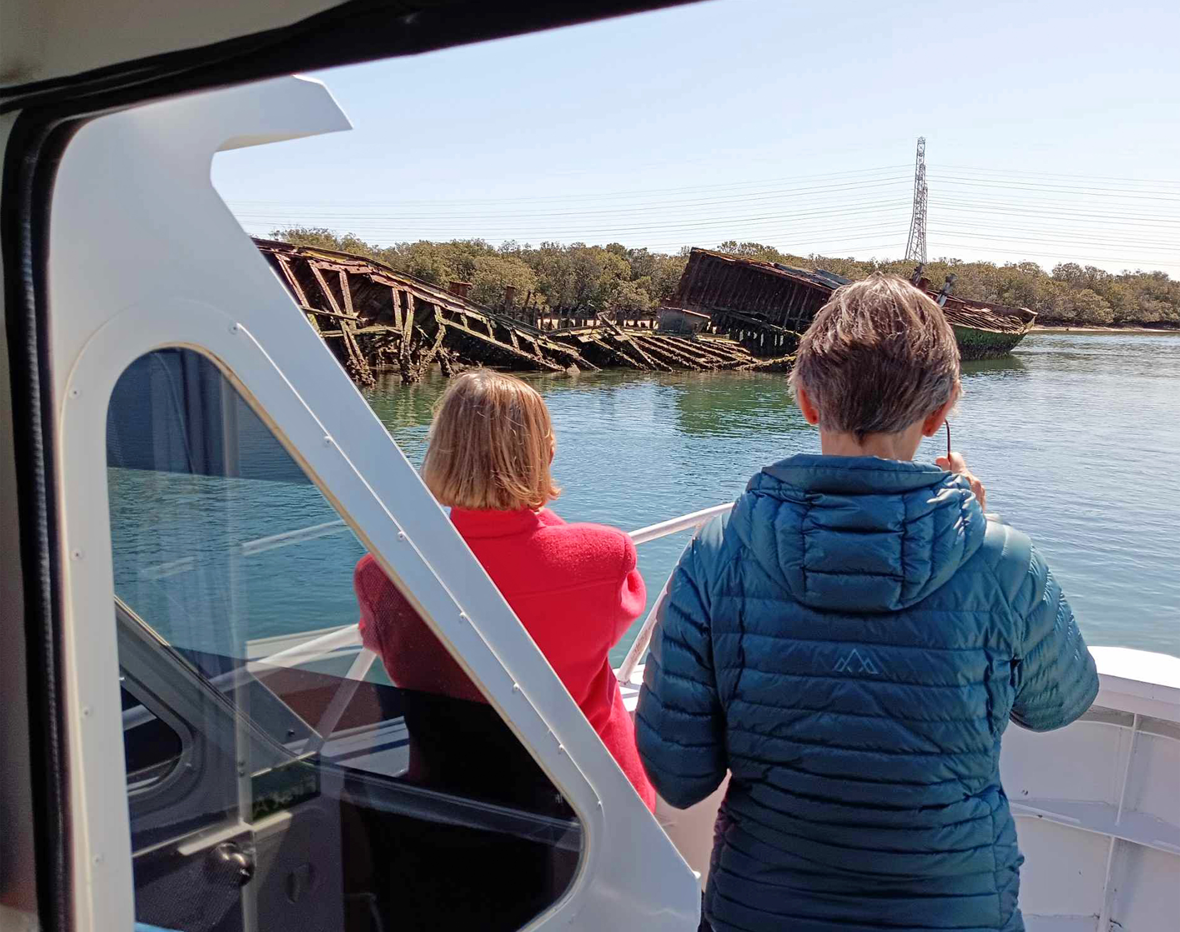90-minute Port River Dolphin & Ships Graveyard Cruise