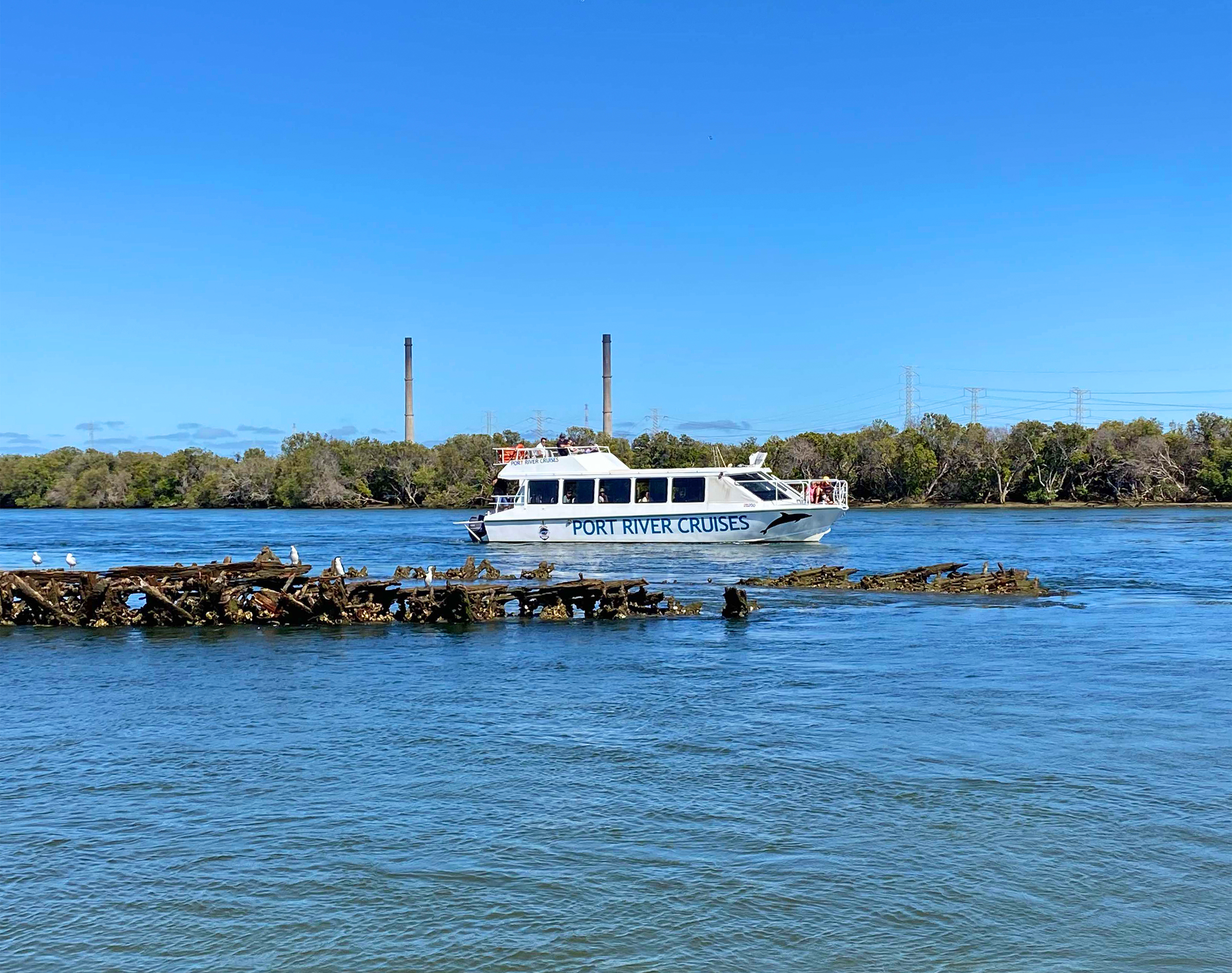90-minute Port River Dolphin & Ships Graveyard Cruise