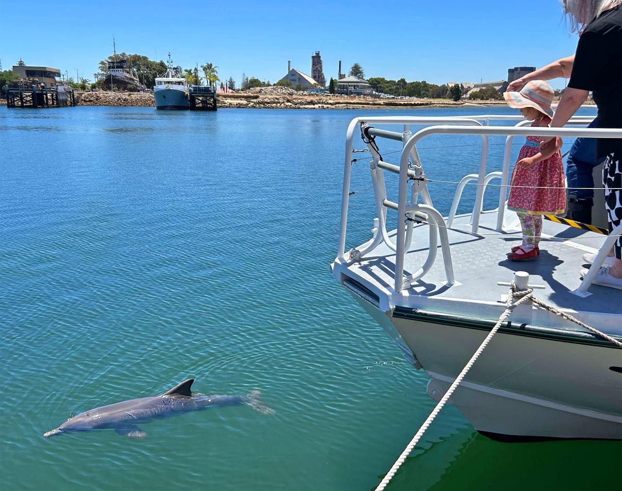 Private Port River Ships Graveyard cruise experience