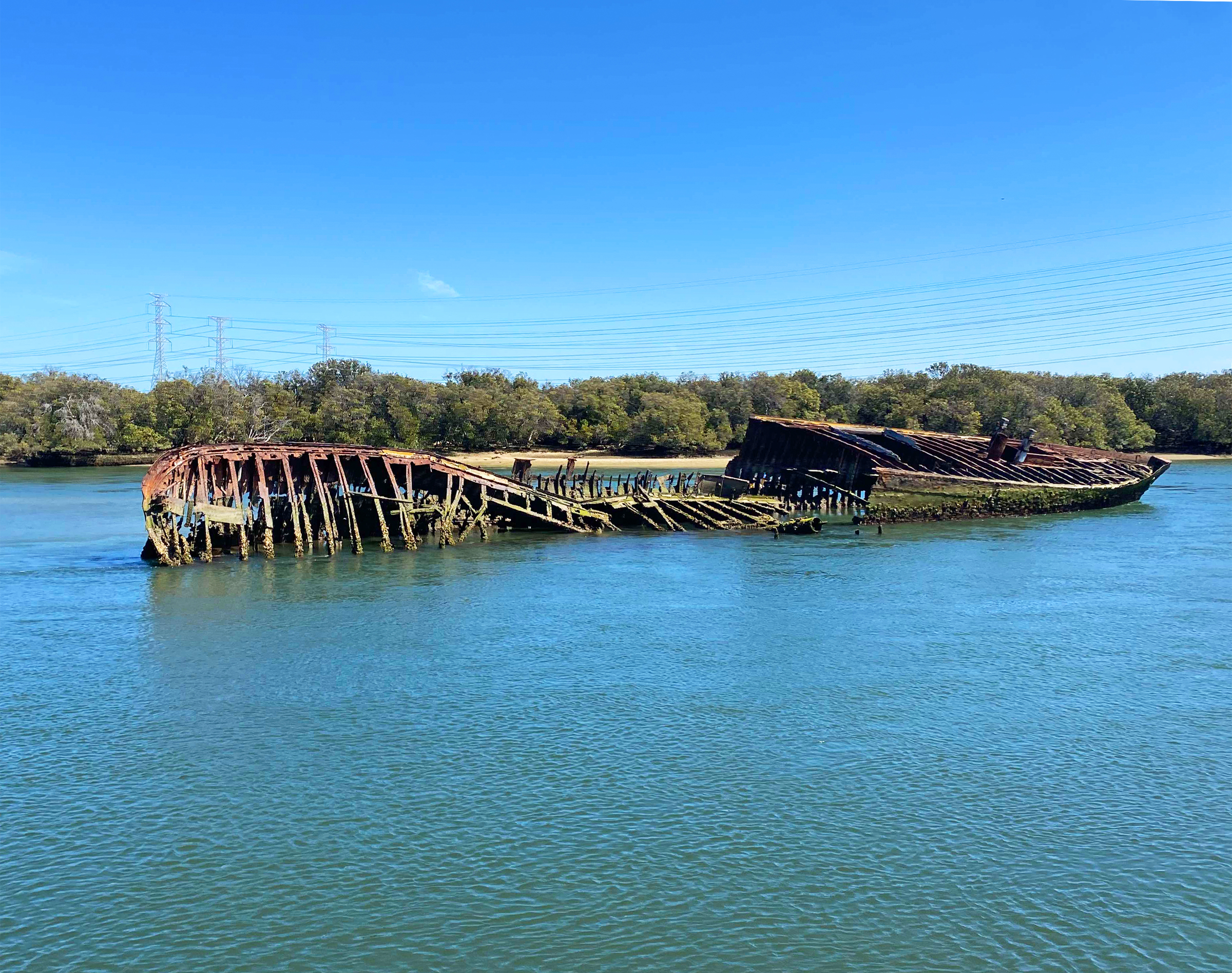 90-minute Port River Dolphin & Ships Graveyard Cruise