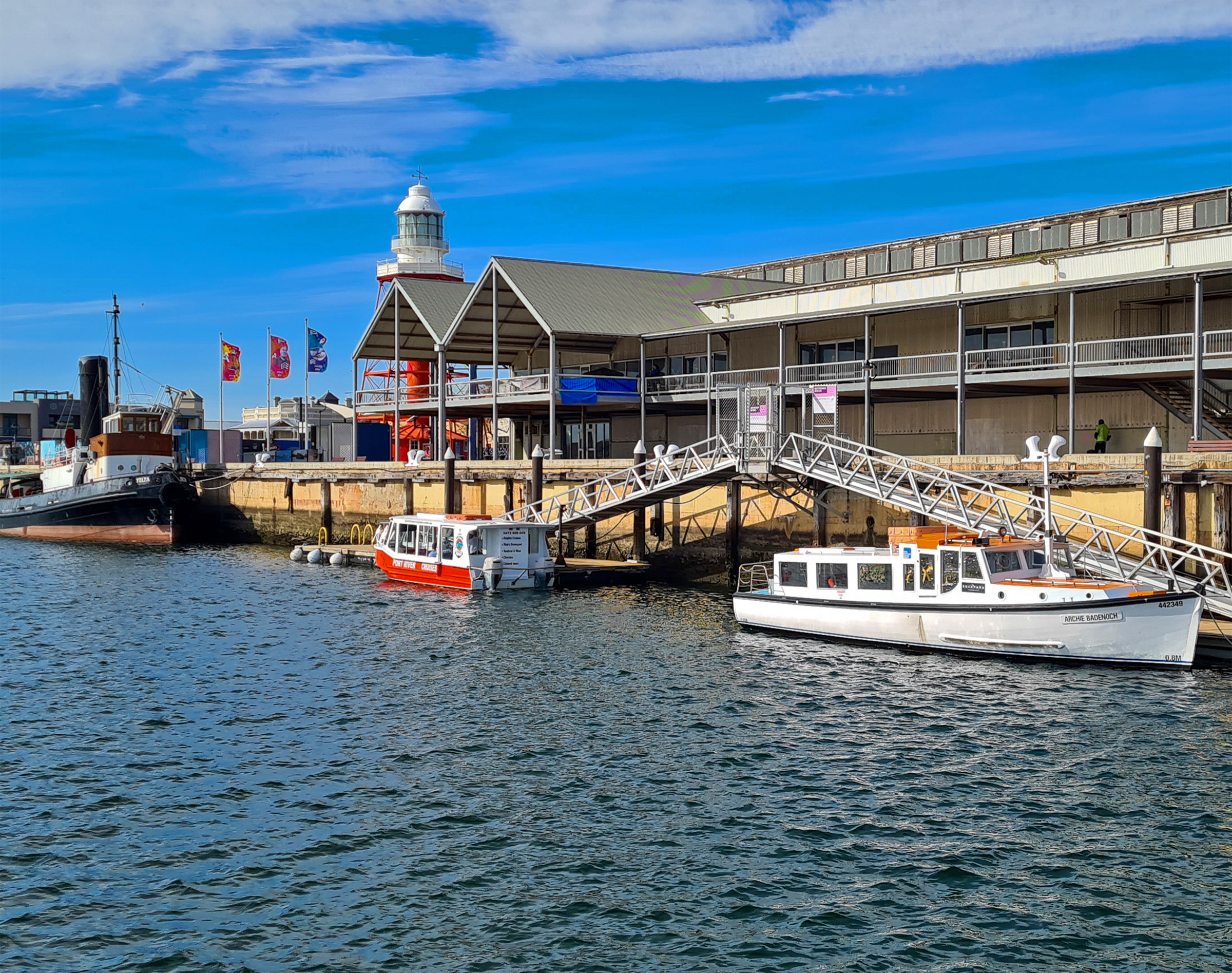 PRIVATE TOUR - 90-minute Dolphins and Ships Graveyard Tour