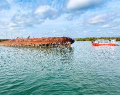 90 minute Port River Dolphin & Shipwreck Cruise 
