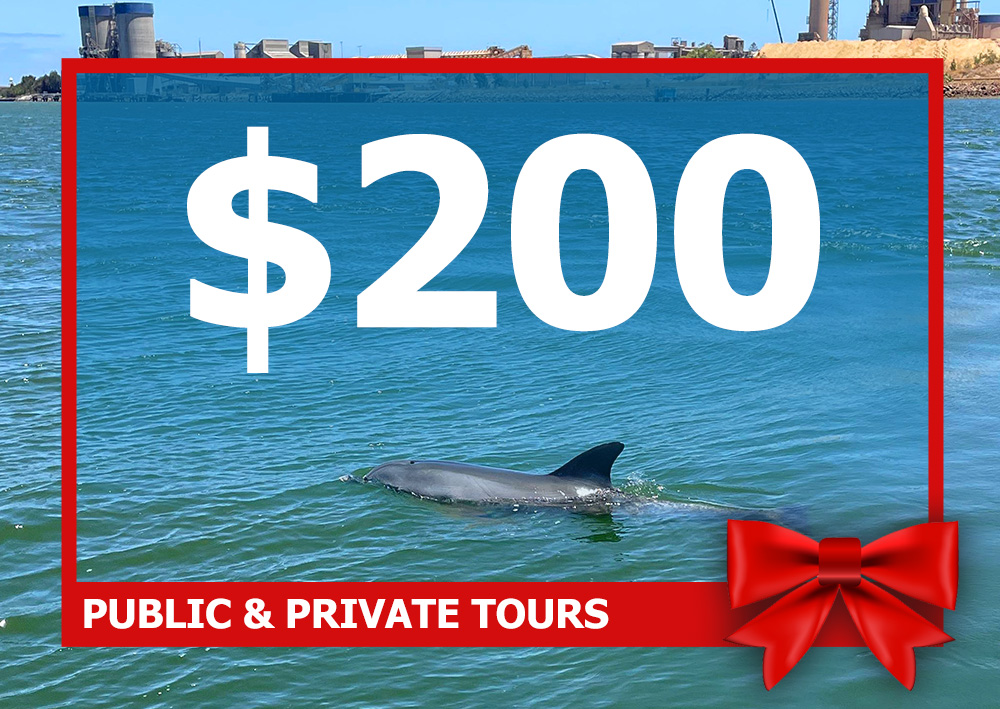 $200 Port River Cruises Gift Cards