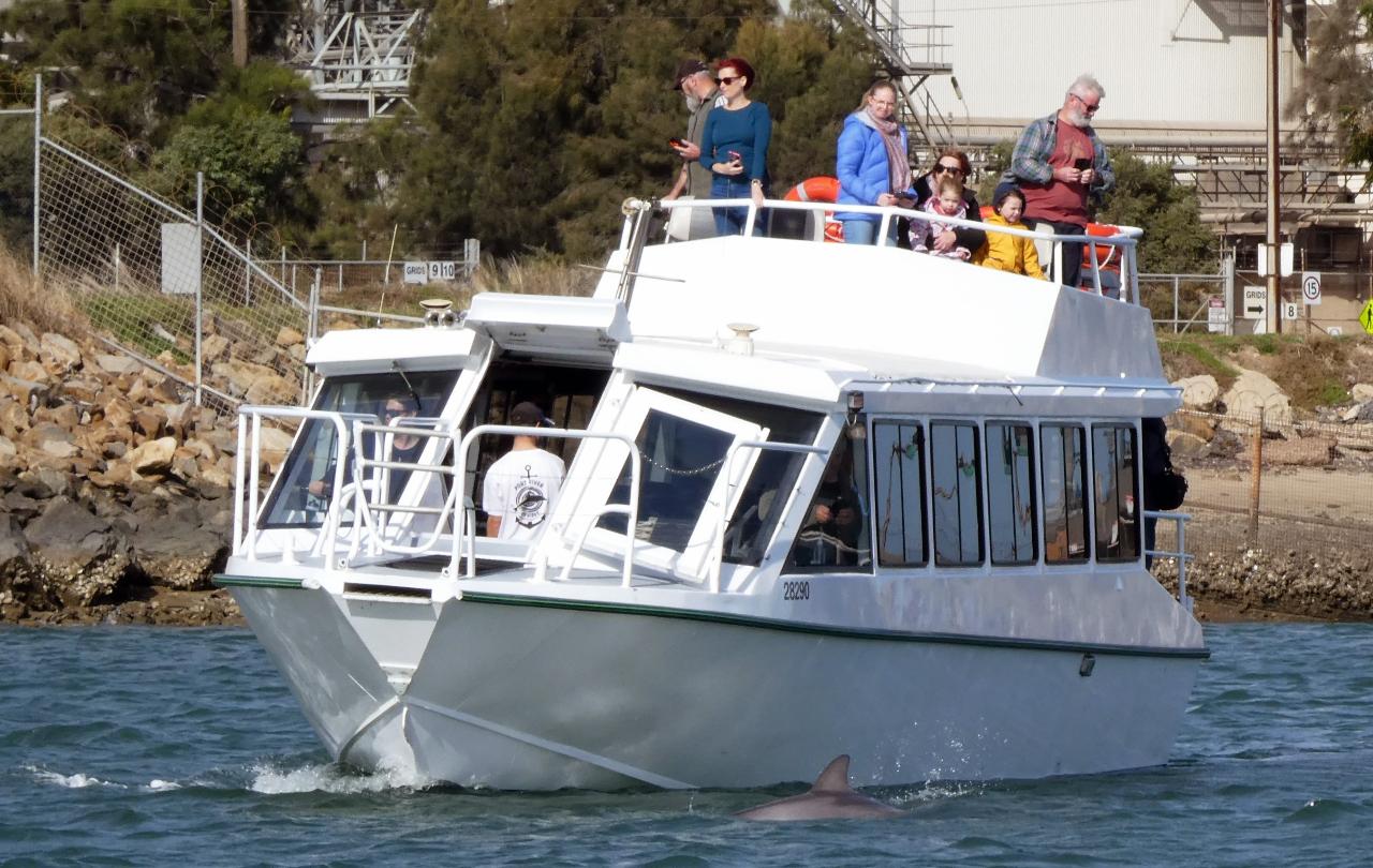 Floating Melodies Blues Cruise Port River Cruises Reservations