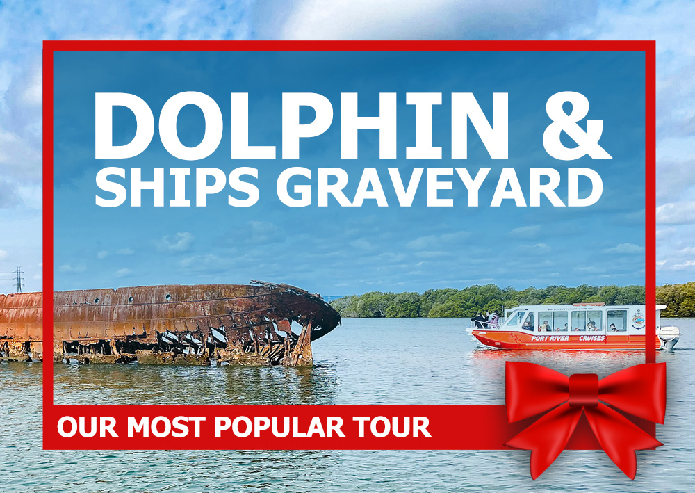 Gift Card - 90-minute Port River Dolphin & Ships Graveyard Cruise