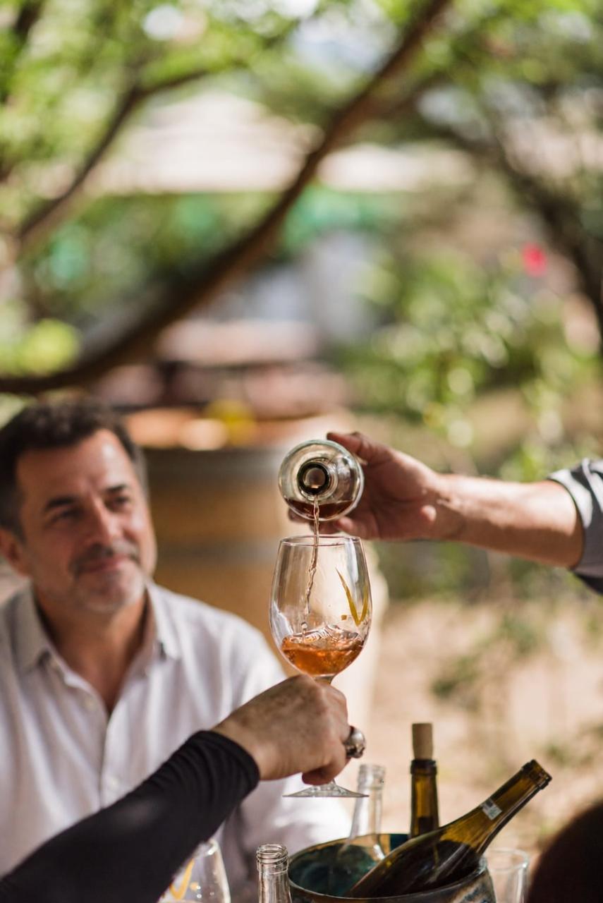 Degustación 4 vinos