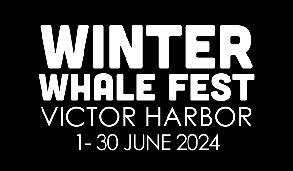 Kondoli Tour - Winter Whale Festival