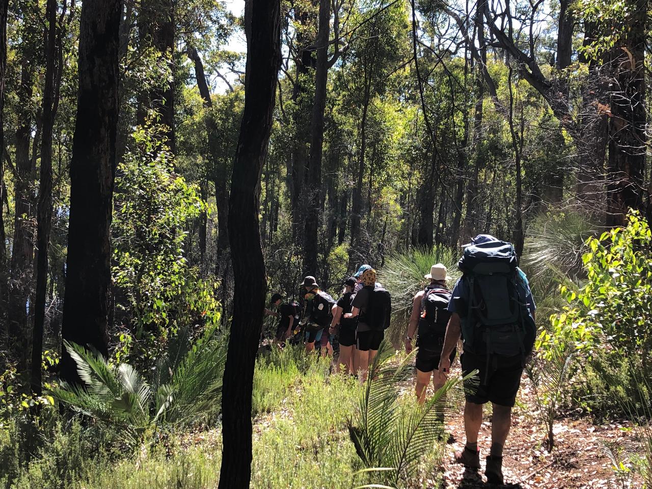 Family Overnight Hike: Wellington Dam to Arcadia Campsite