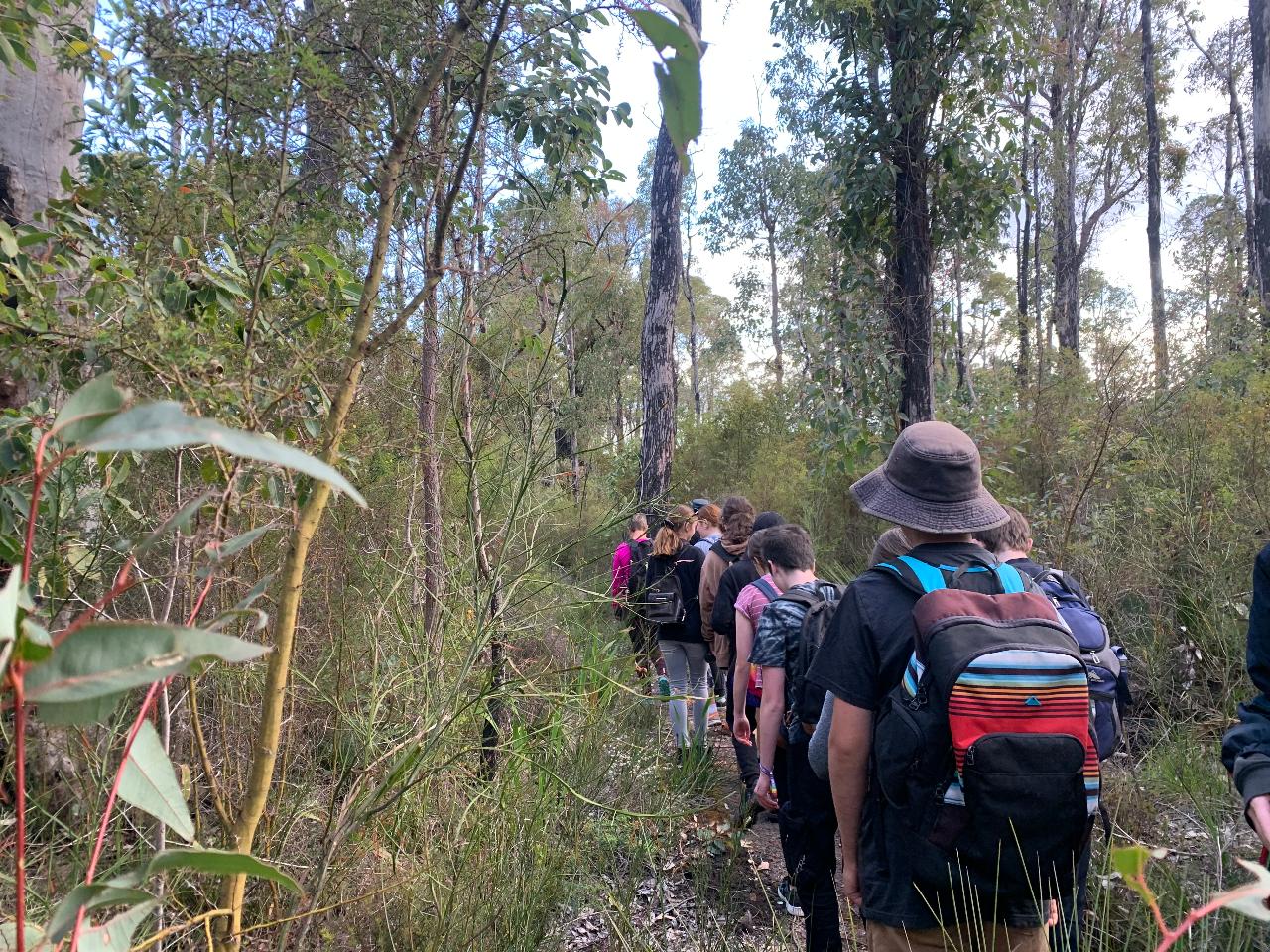 Family Friendly Wildflower Wander: Karak Trail