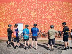 Collie Adventure Weekend