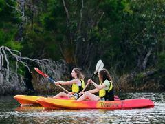 Paddle, Platter & Sip – An Afternoon Kayak Experience on the Collie River at Minningup Pool