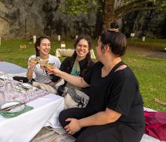 E-Bike Ride, Wine N Dine Sunset Picnic Adventure