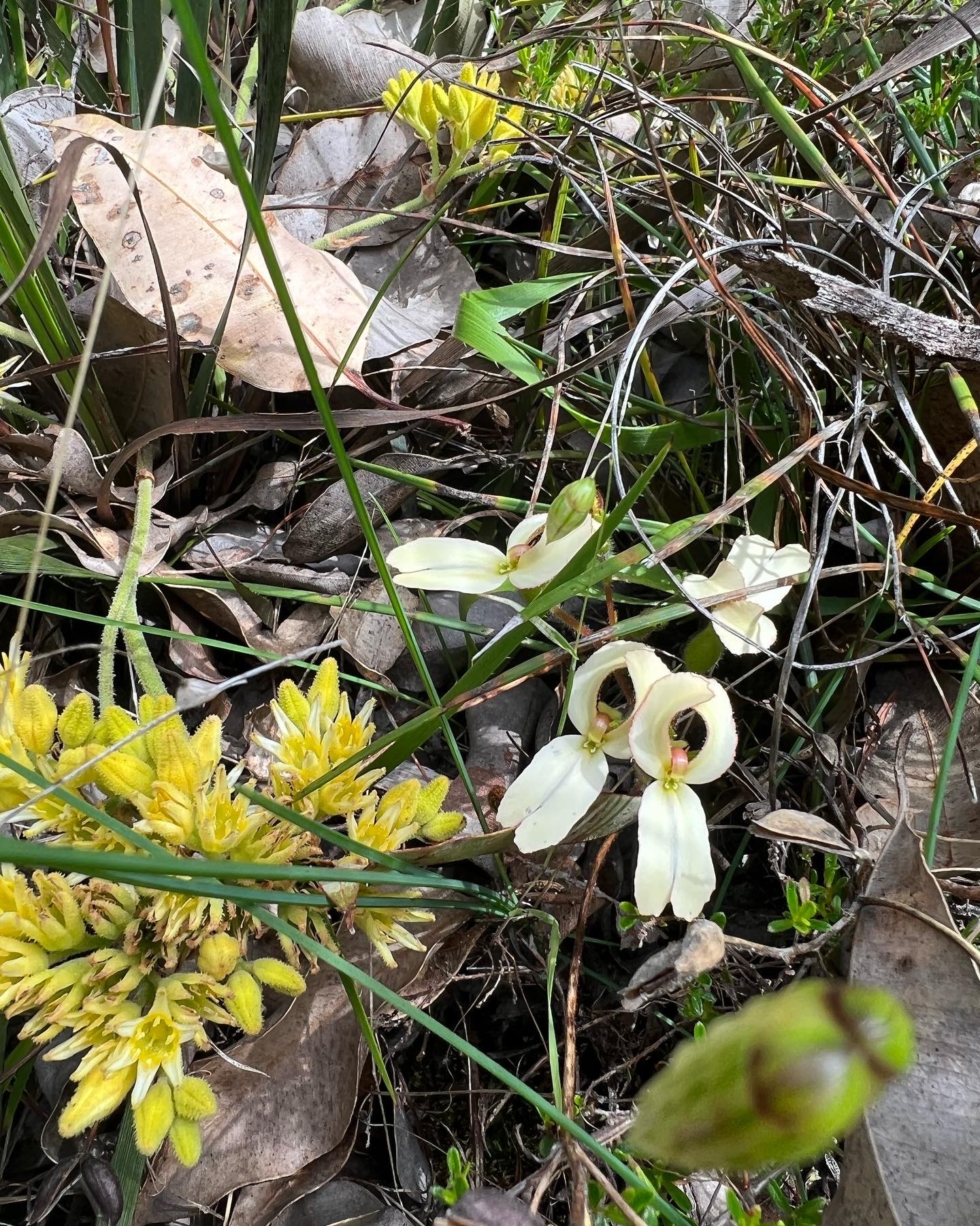 Discover Collie Darkan Rail Trail E-Bike Tour