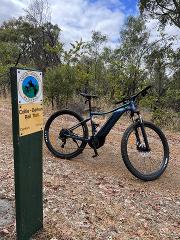 Discover Collie Darkan Rail Trail E-Bike Tour