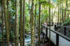K'gari 2 Day/1 Night Tour (ex Rainbow Beach) - Single Occupancy
