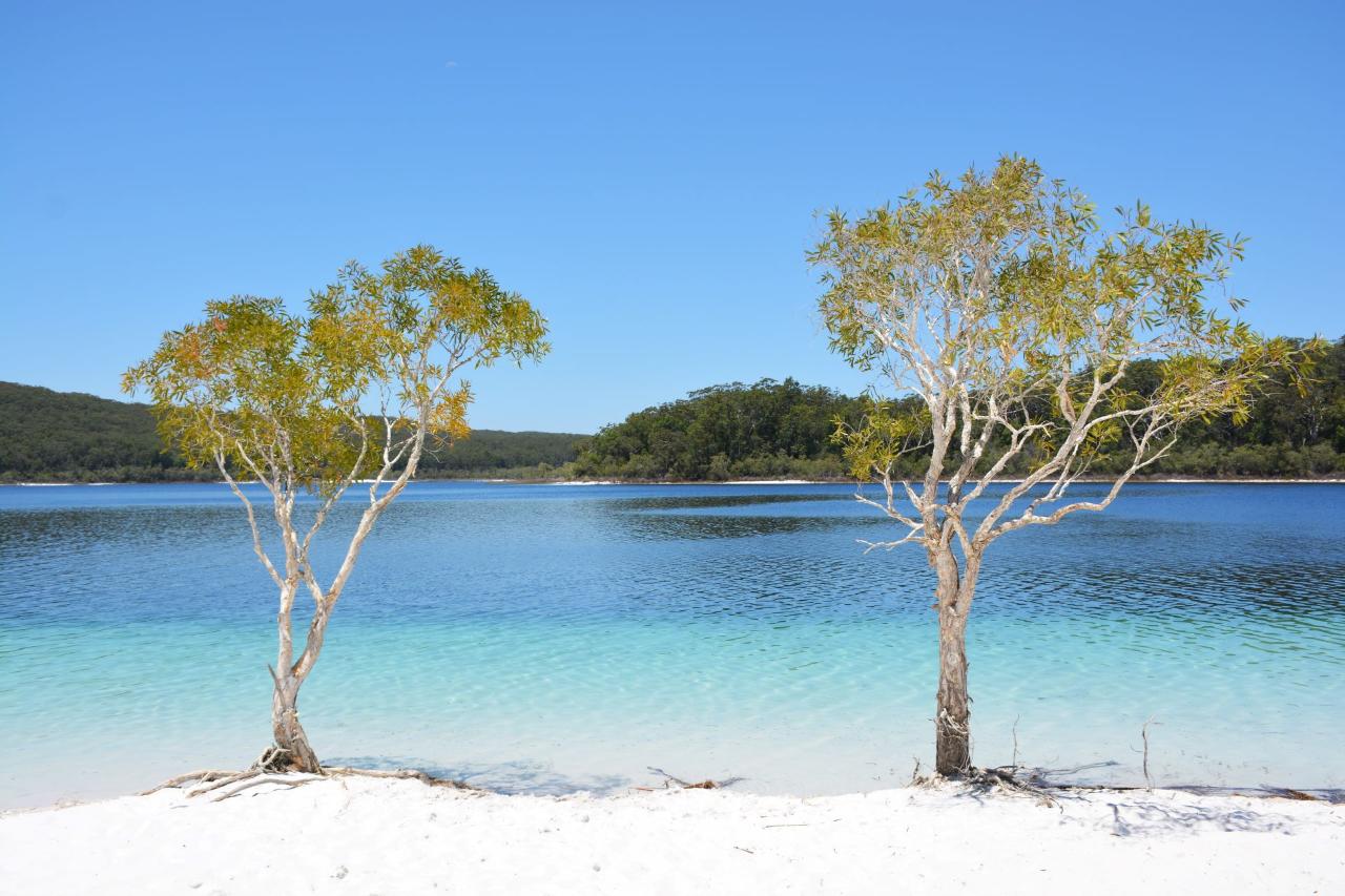 K'gari 2 Day/1 Night Tour (ex Rainbow Beach) - Triple Occupancy