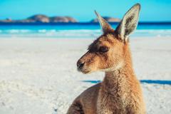 Adelaide to Perth Adventure | 10 Day