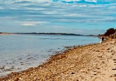 Cape Pogue Edgartown Adventure