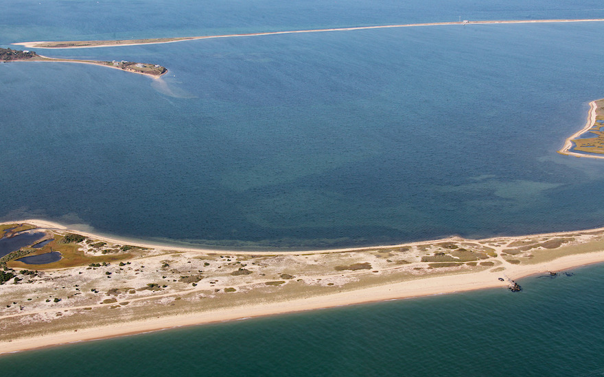 Cape Pogue Edgartown Adventure: 3 hours