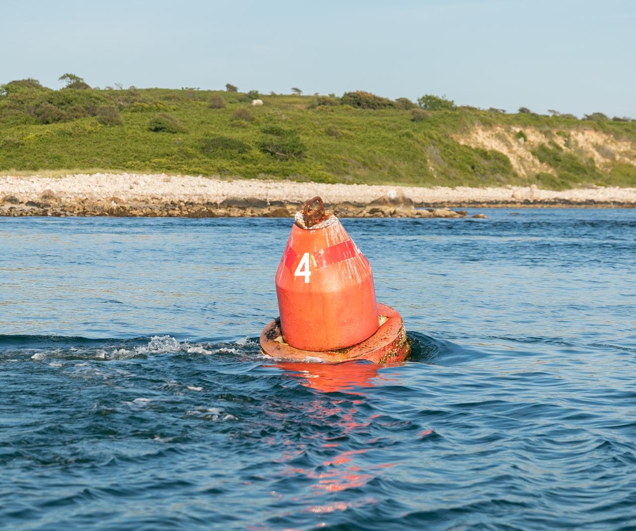 Elizabeth Islands Half Day