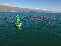 Private Santa Barbara Sea Lion and Wharf Kayak Tour