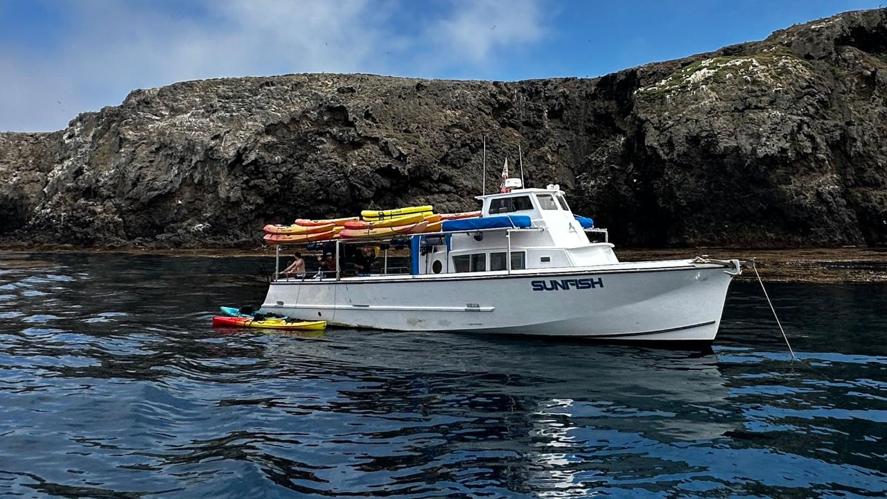 Sunfish Private Charter