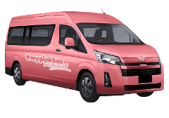 Private Van -  Playa Venao to Panama City