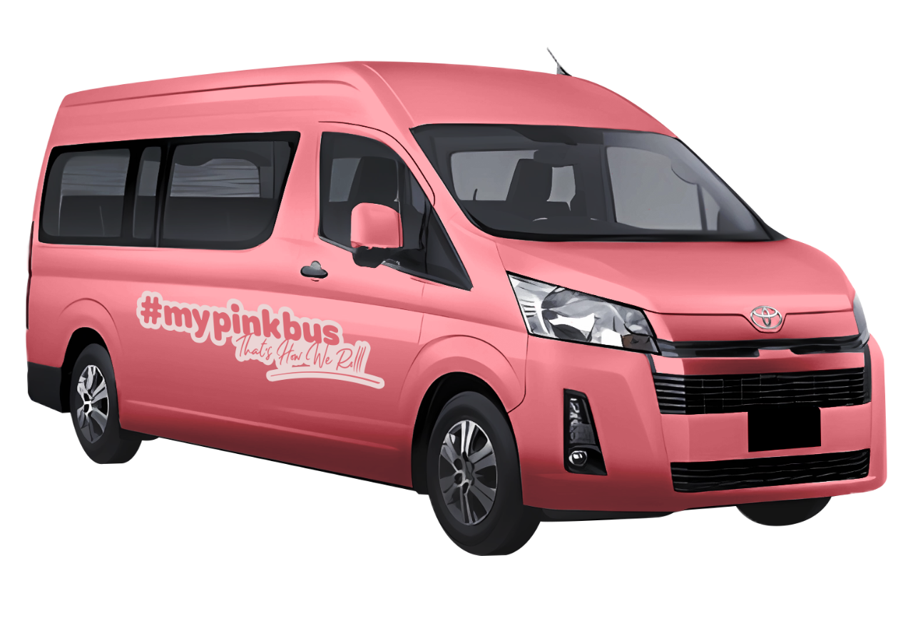 Private Van - Panama City to Playa Venao