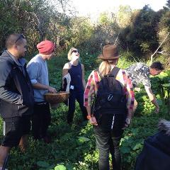 Waiheke Taste of the Forest & Vines Tour