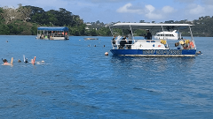 Iririki Island Snorkel