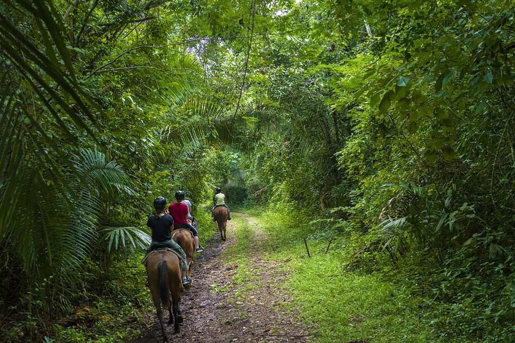 Horseback Riding