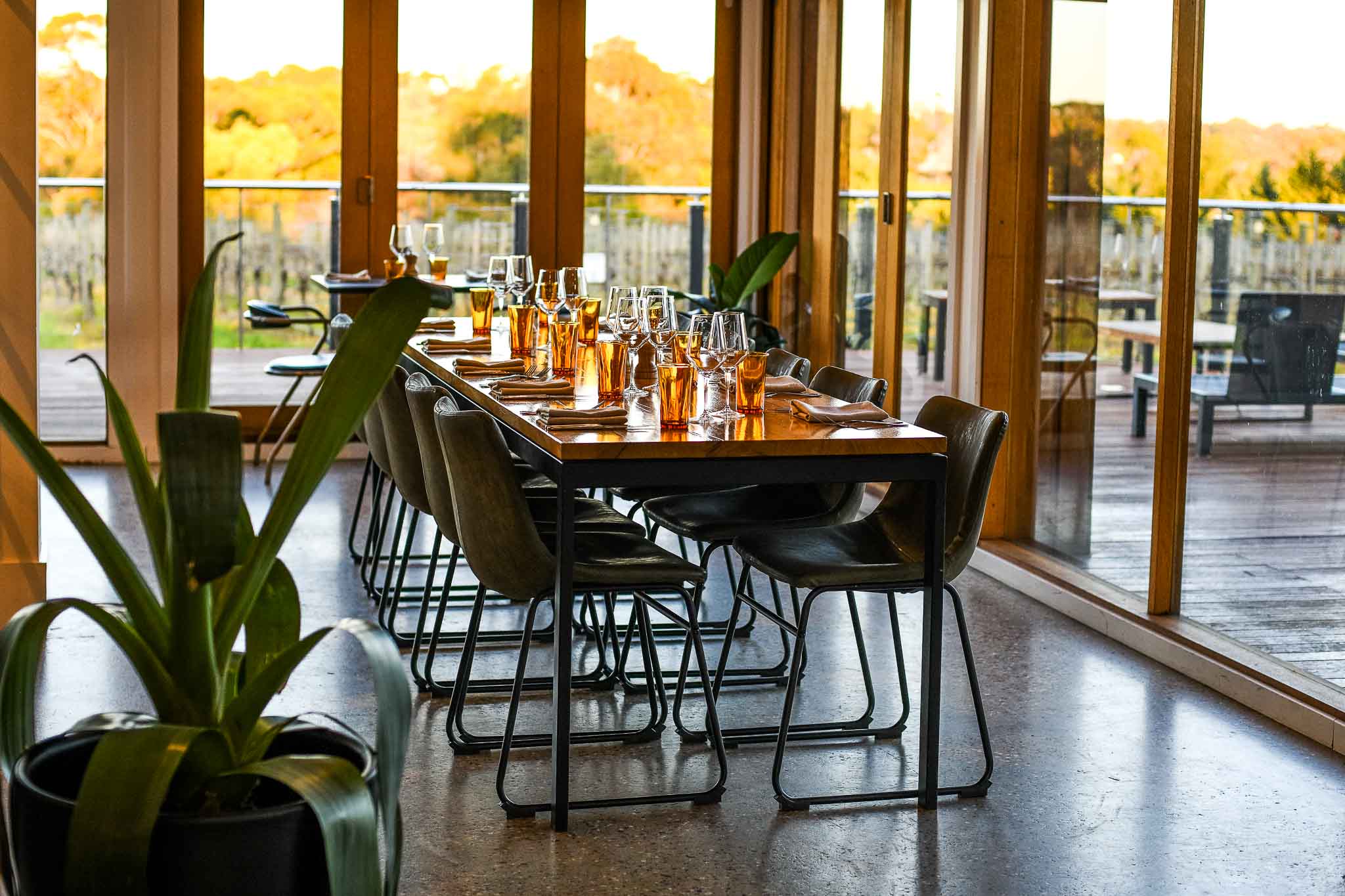 Barmah Park X Truffle Hunts Red Hill Truffles Reservations