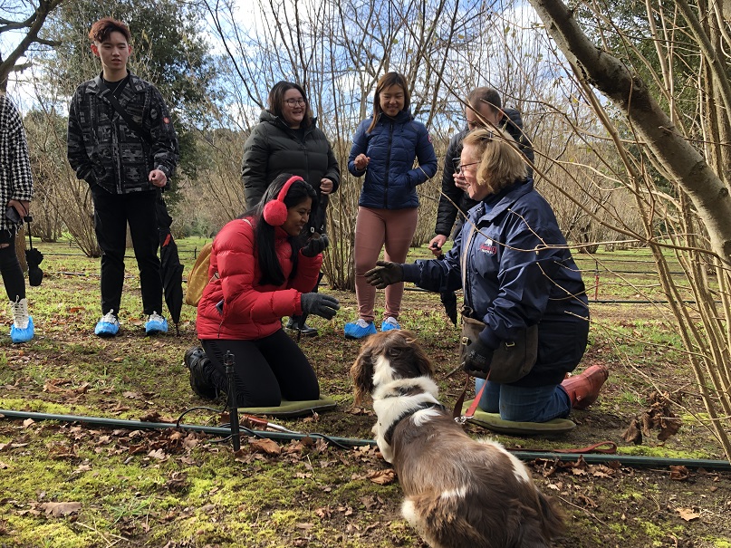 Private Truffle Hunt