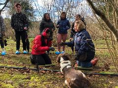 Private Truffle Hunt