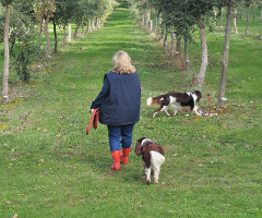 Request a Truffle Hunt Experience
