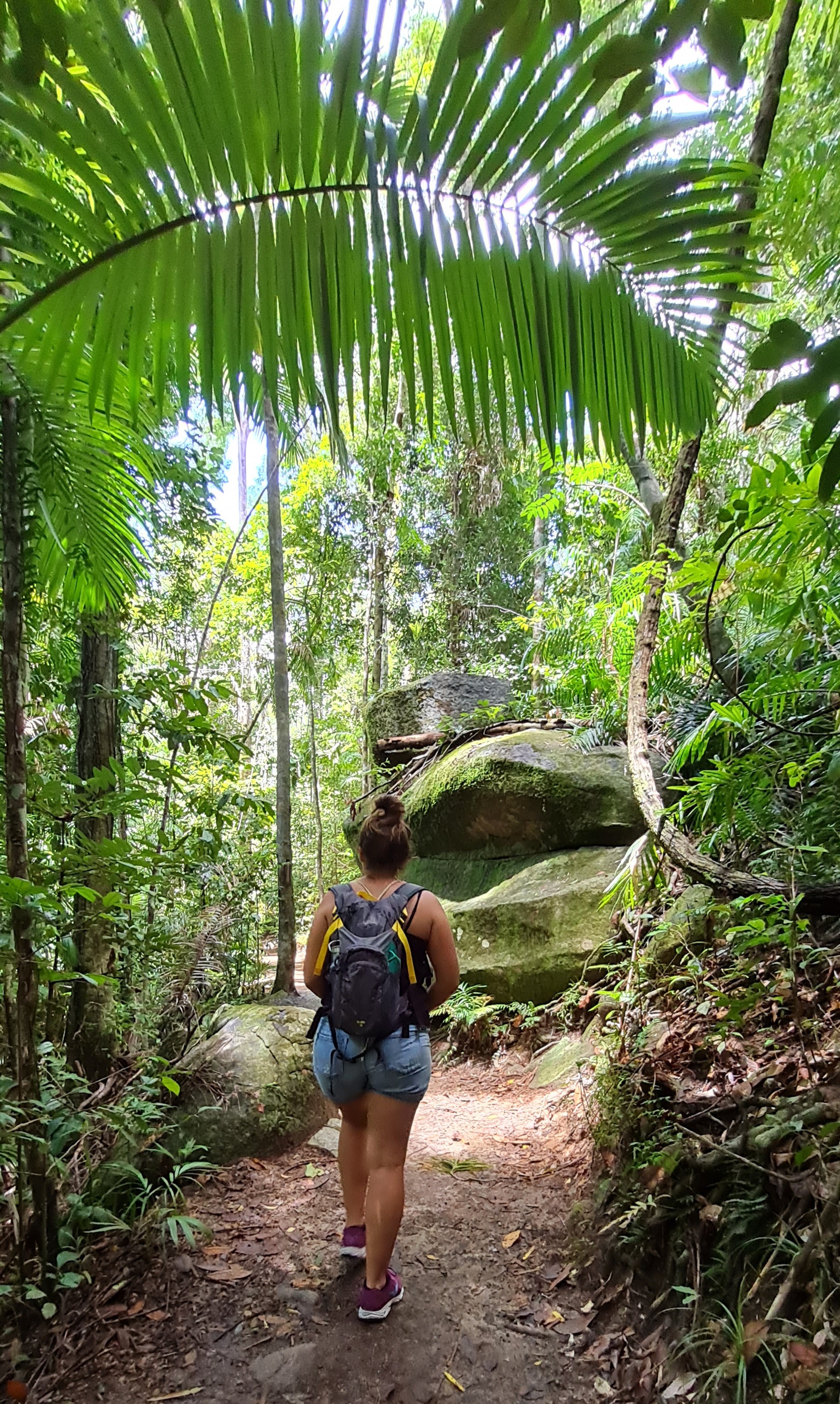 Finch Hatton/Eungella