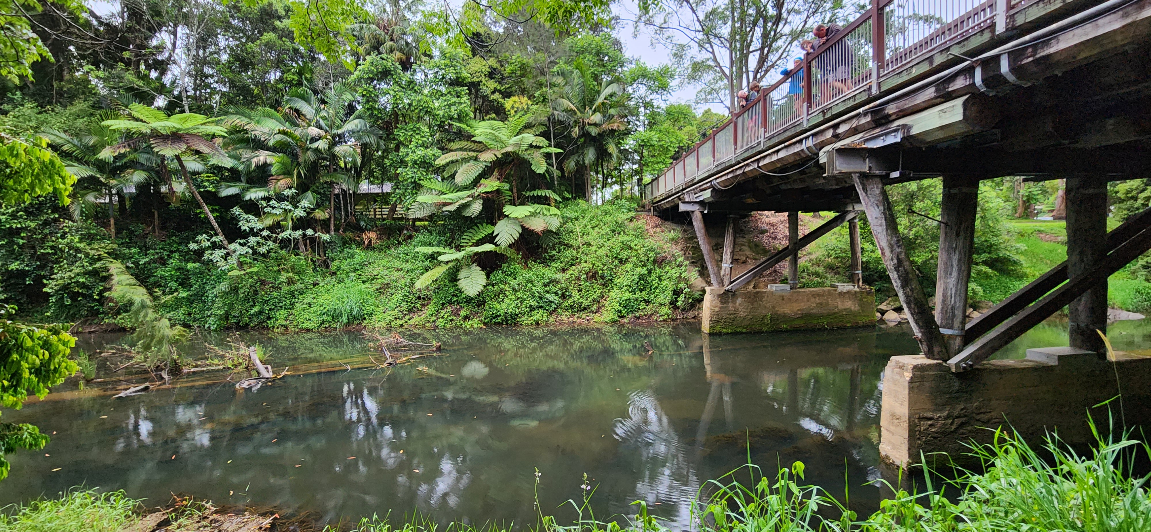 Finch Hatton/Eungella