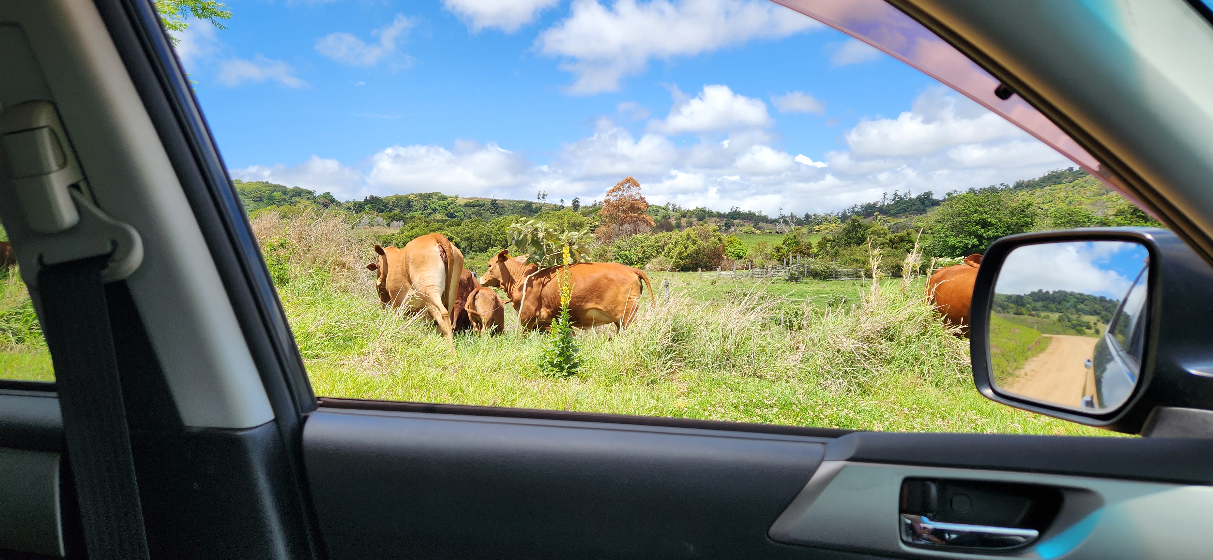 Finch Hatton/Eungella