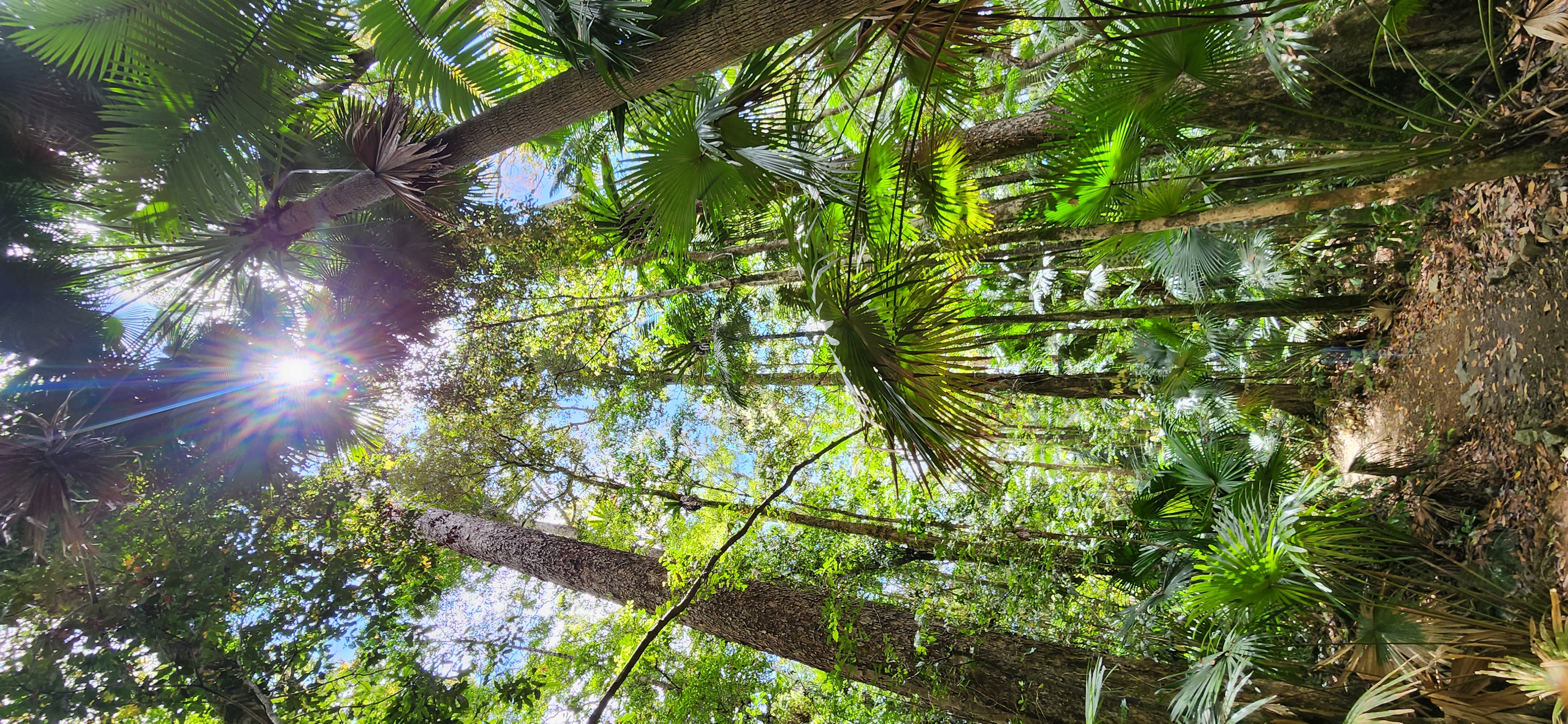 Finch Hatton/Eungella