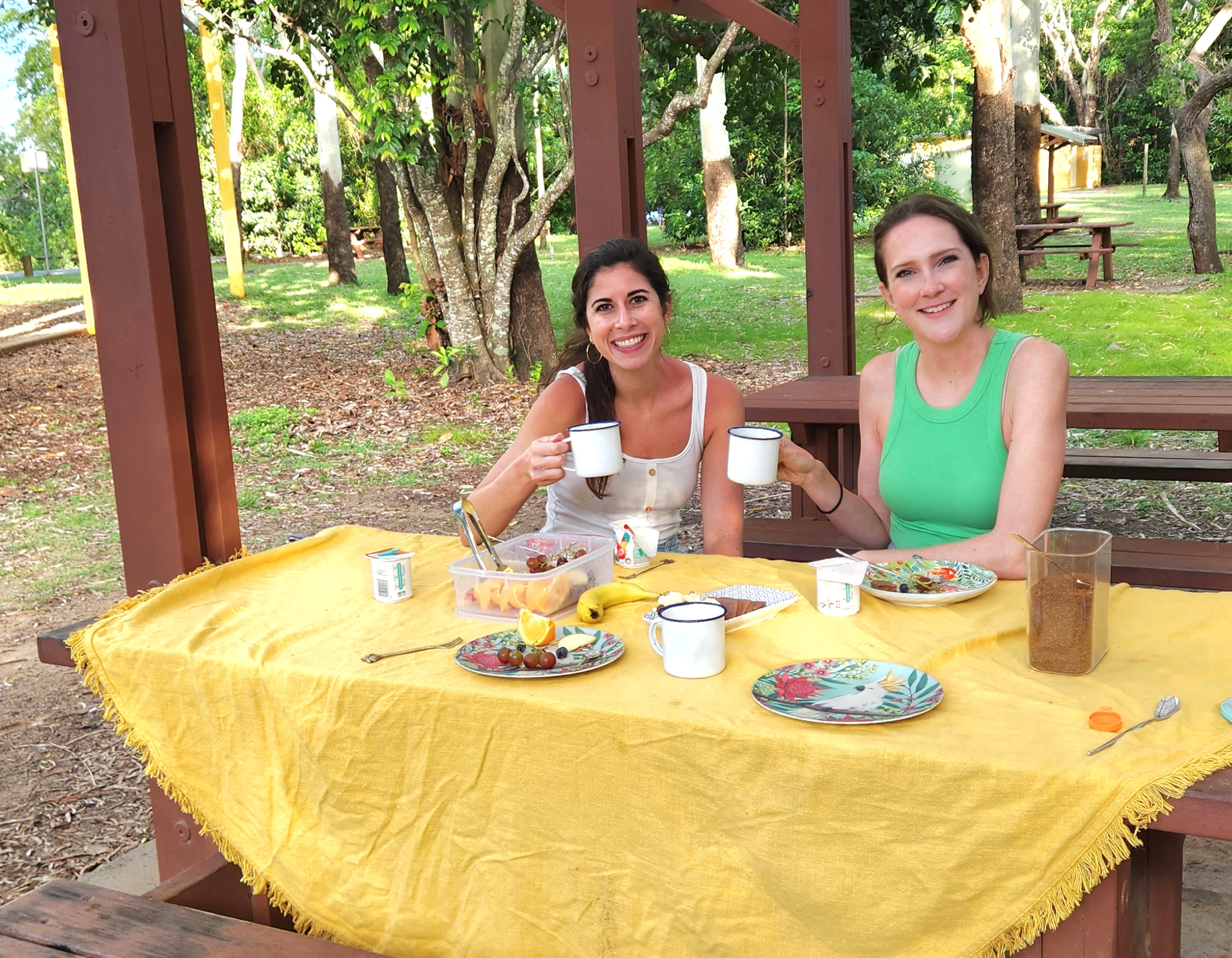 Sunrise with kangaroos-departs Airlie Beach