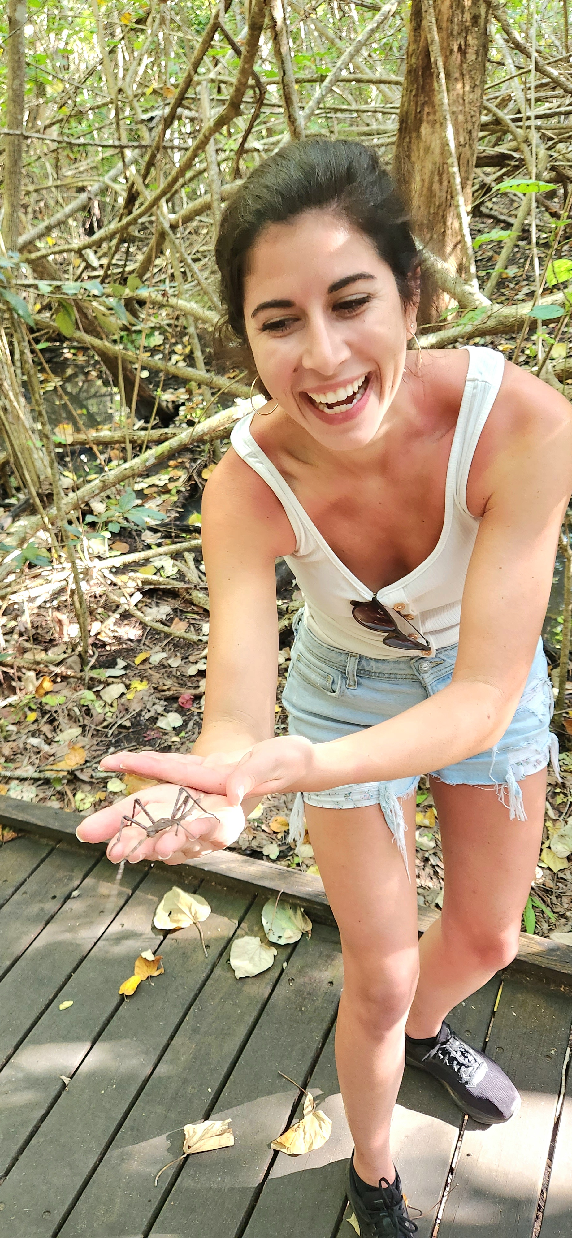 Sunrise with kangaroos-departs Airlie Beach