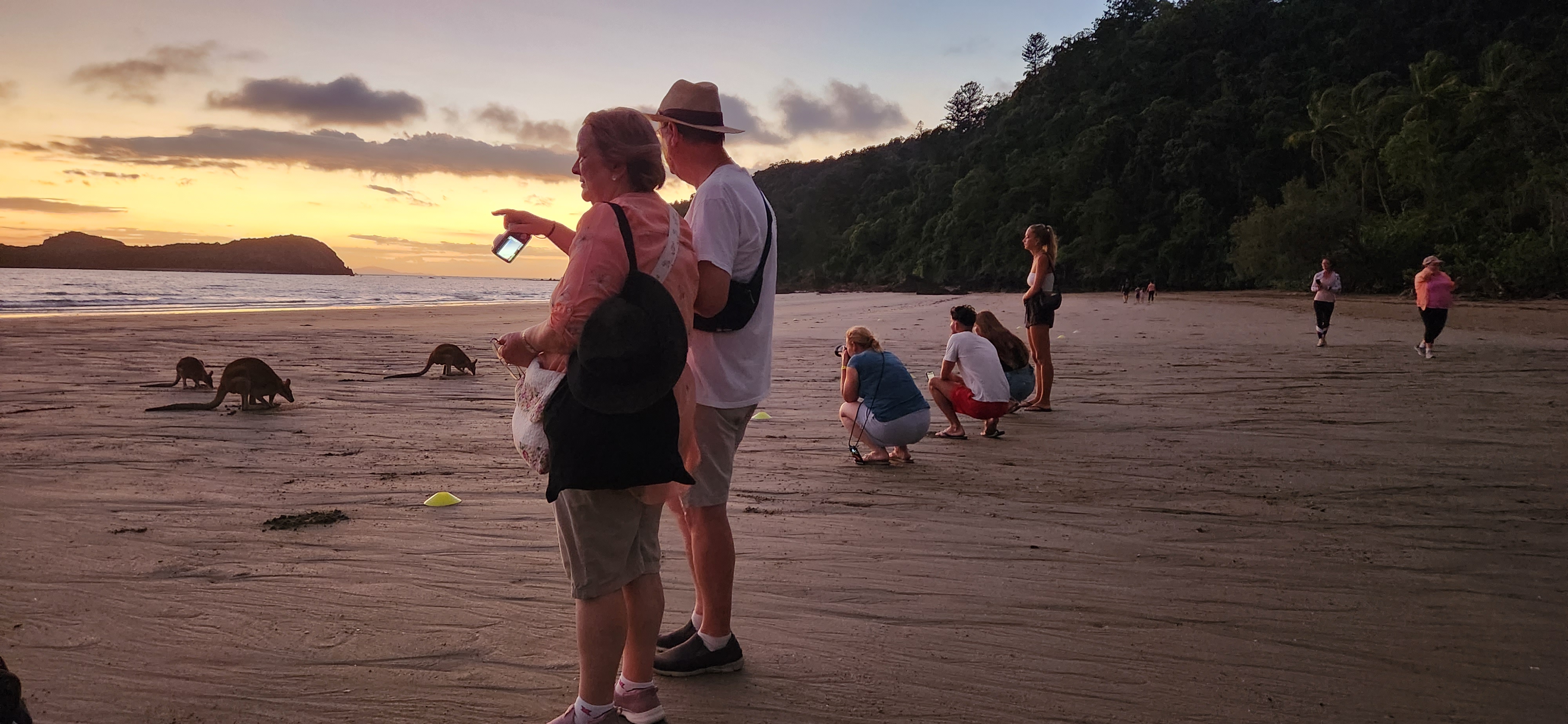 Sunrise with kangaroos-departs Airlie Beach