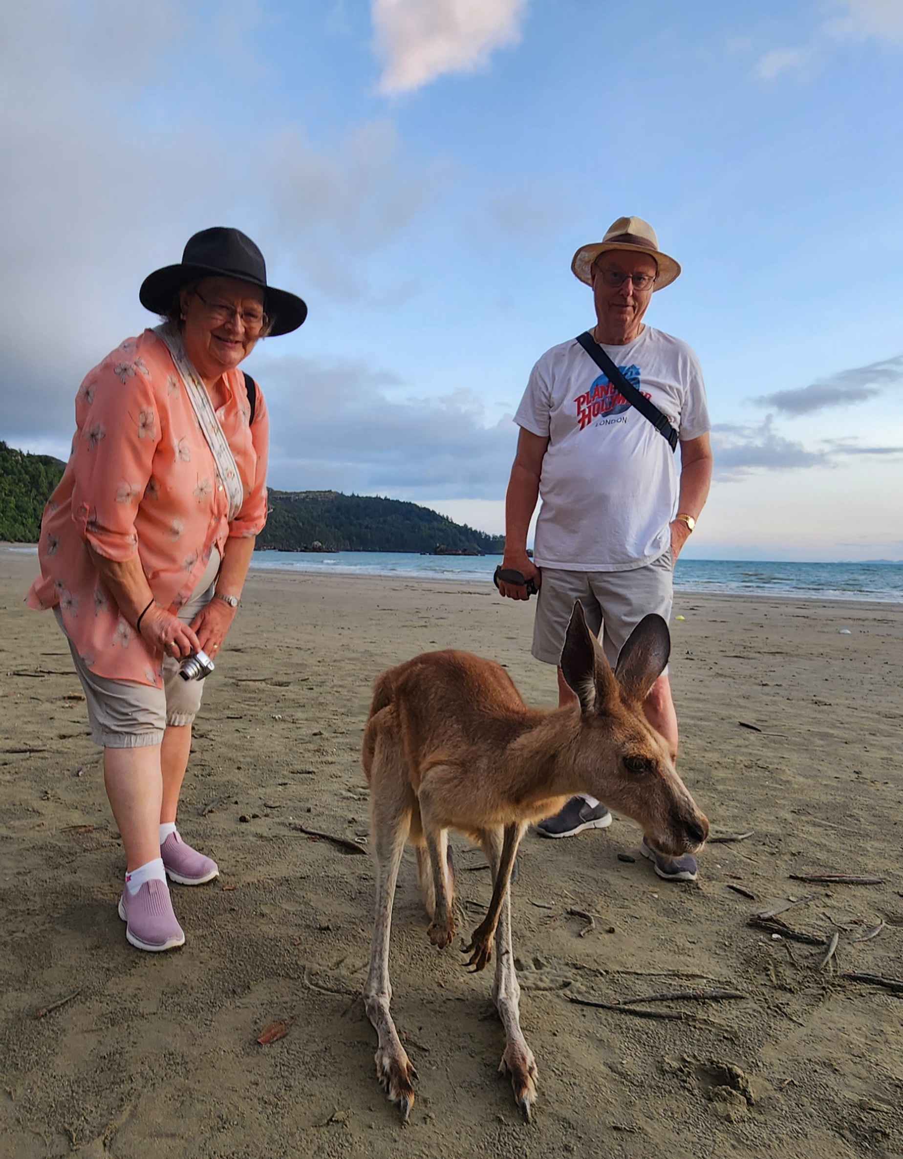 Sunrise with kangaroos-departs Airlie Beach