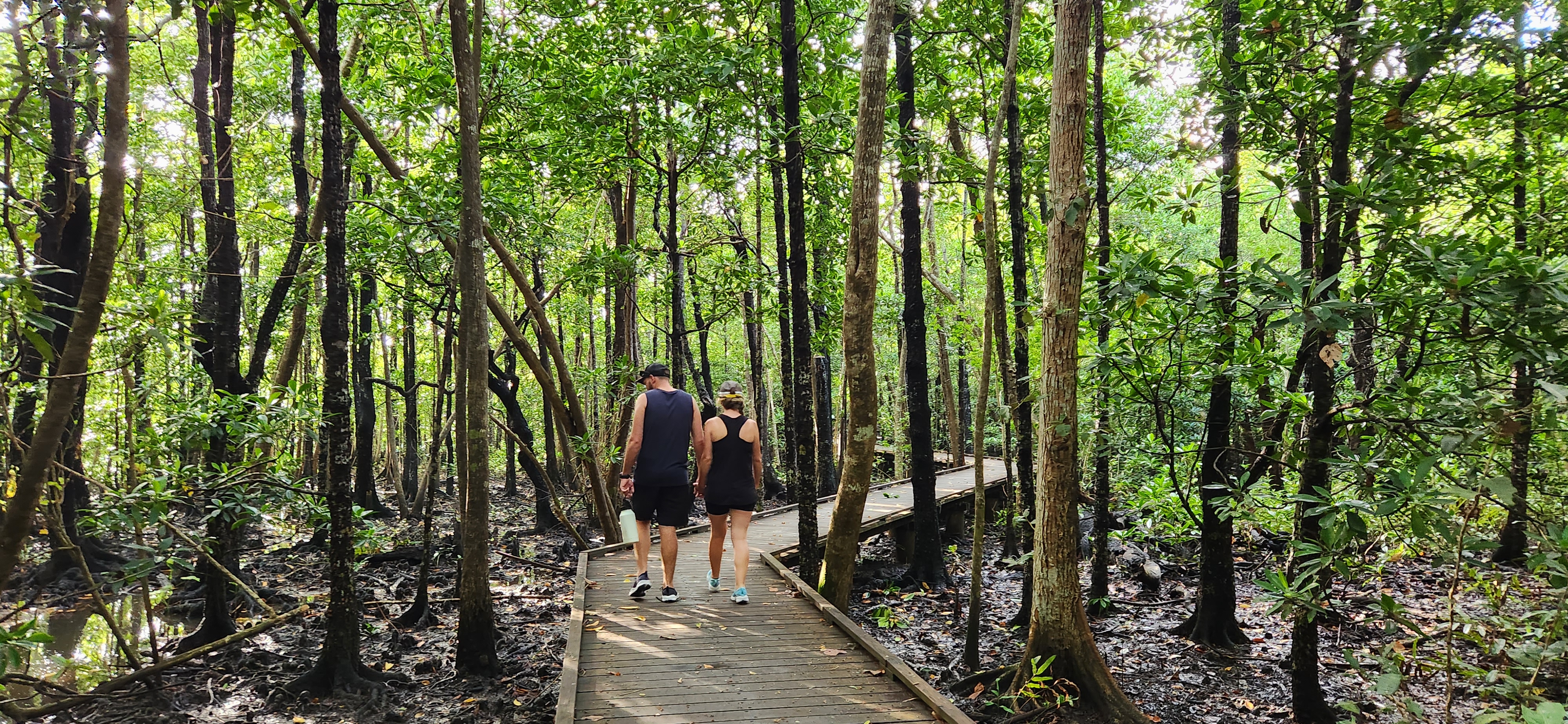 Sunrise with kangaroos-departs Airlie Beach
