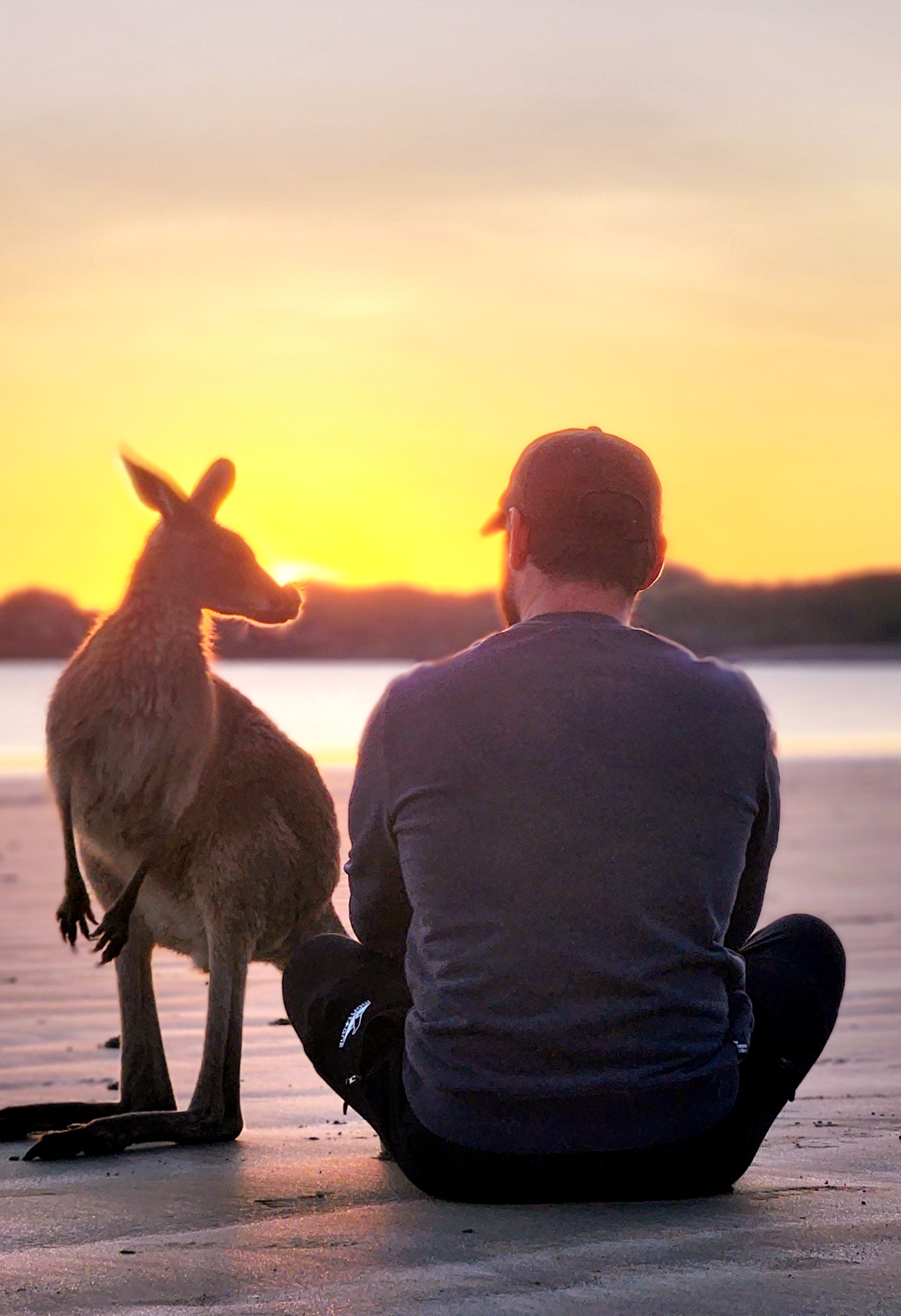 Sunrise with kangaroos-departs Airlie Beach