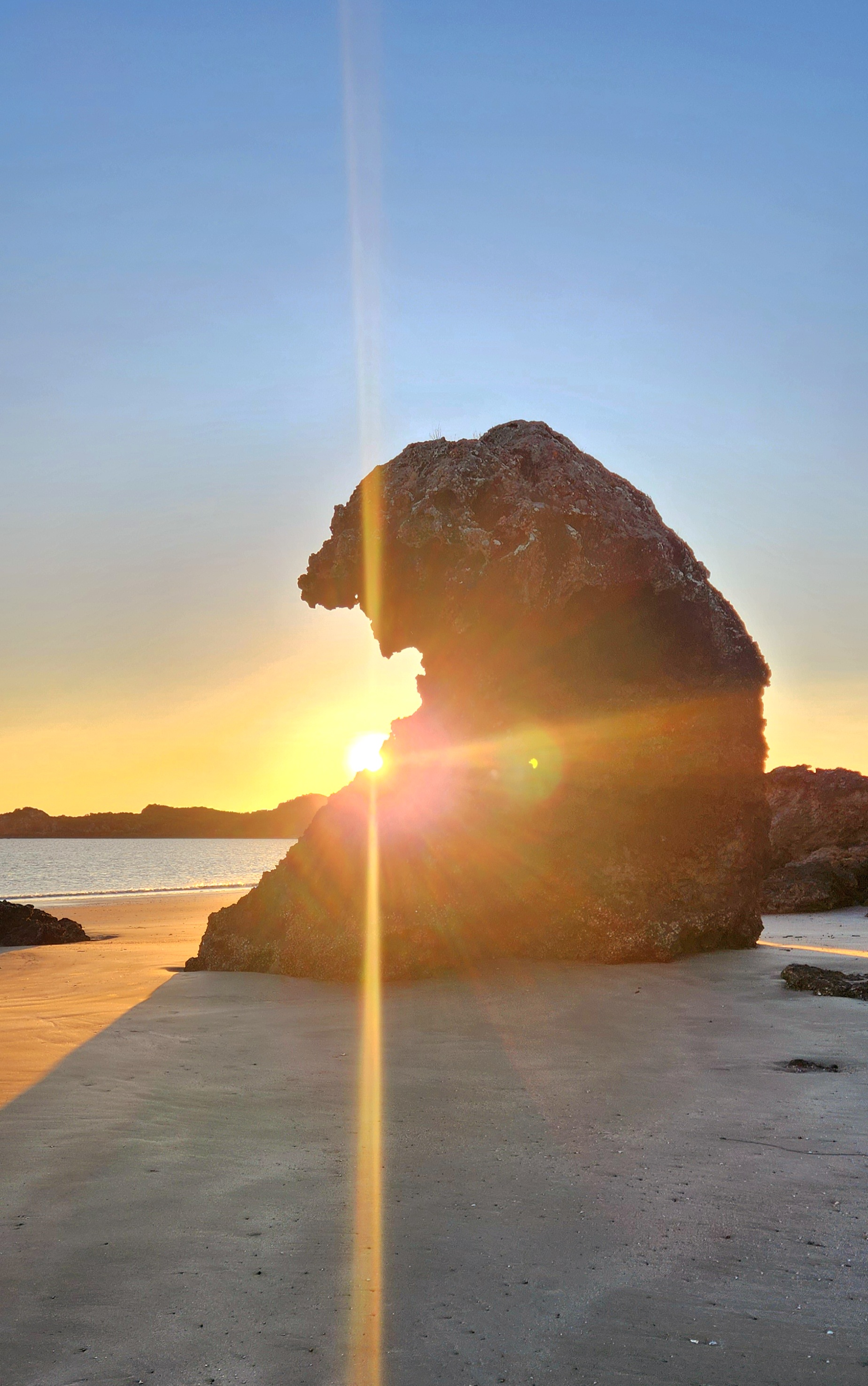 Sunrise with kangaroos-departs Airlie Beach