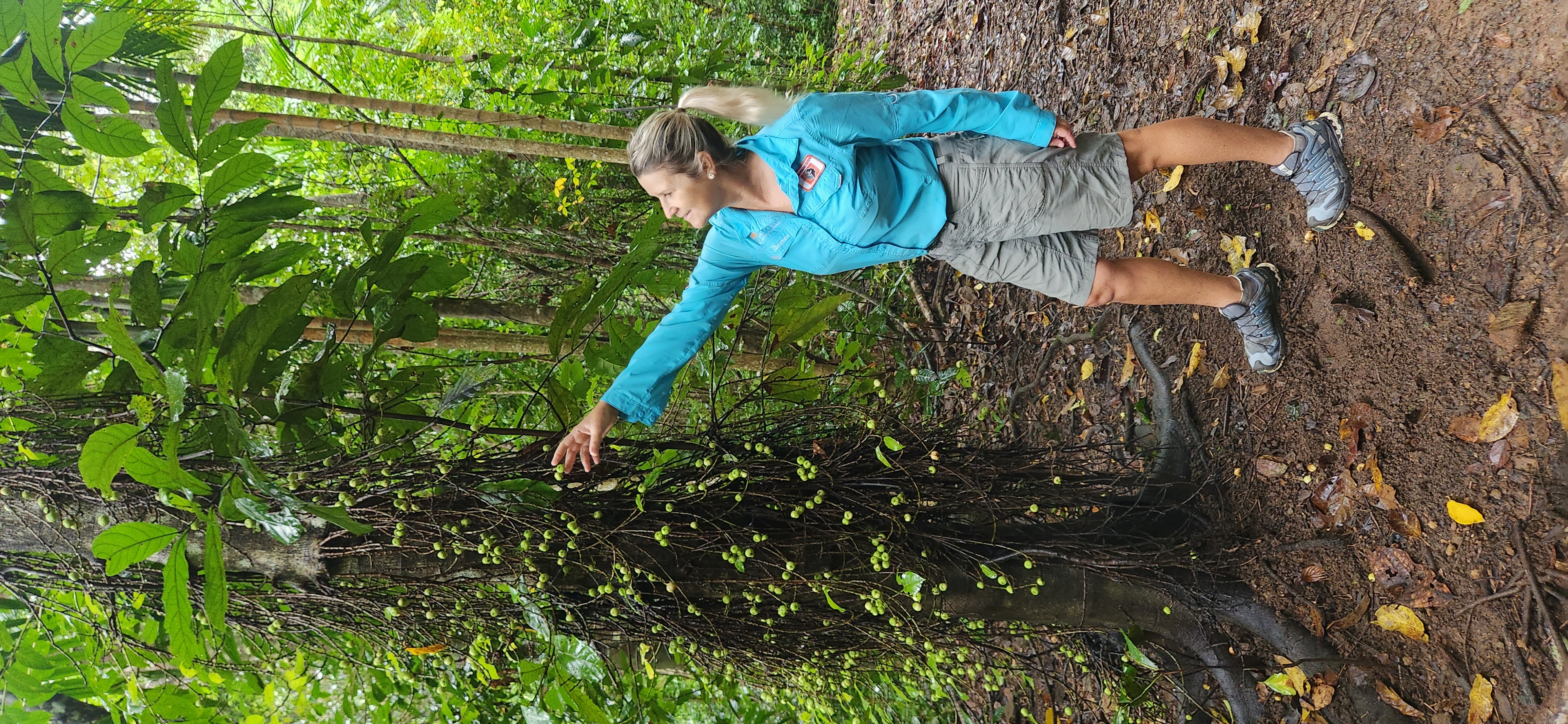 Waterfalls & Bushwalk Eco Adventure