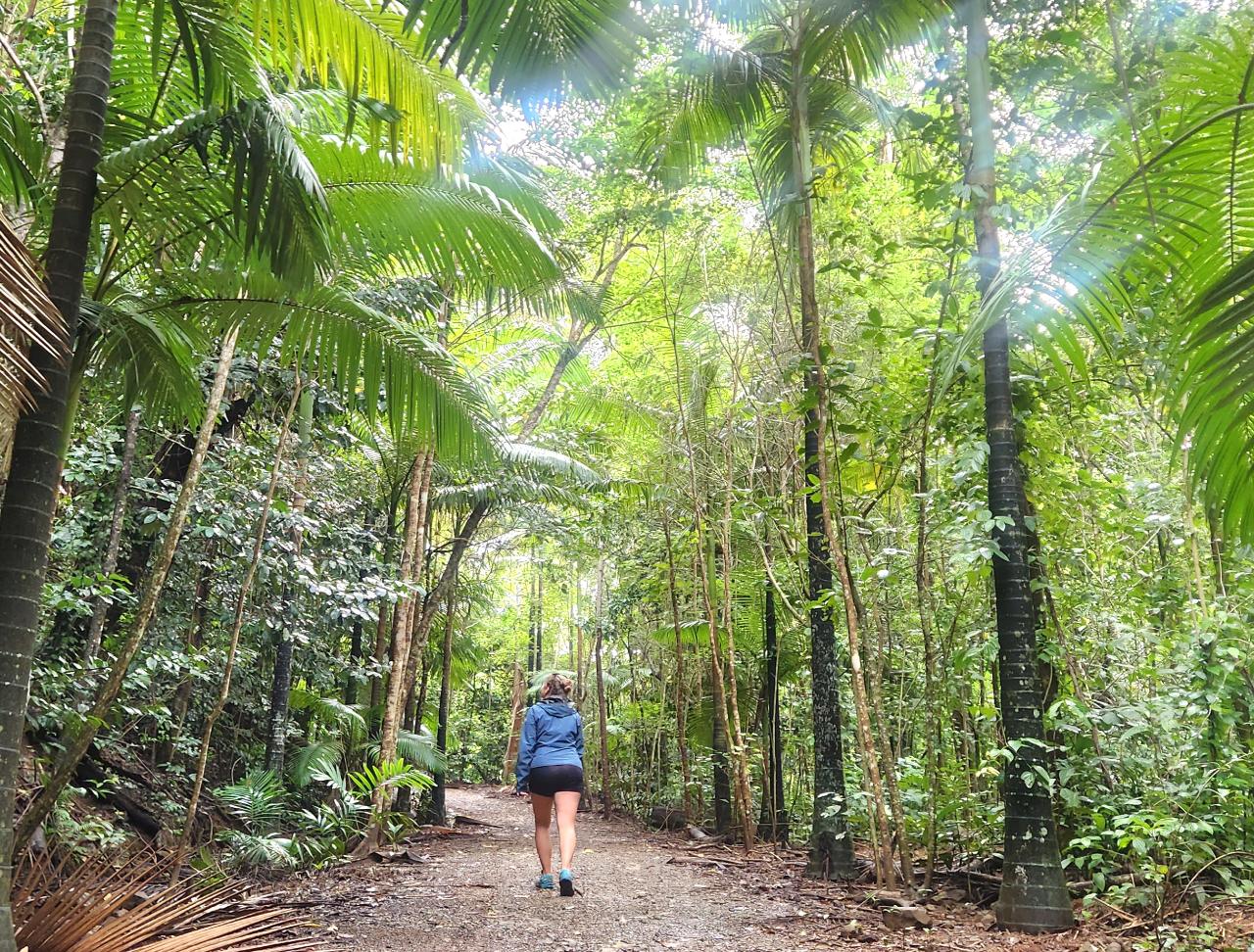 Eco Adventure Bushwalks