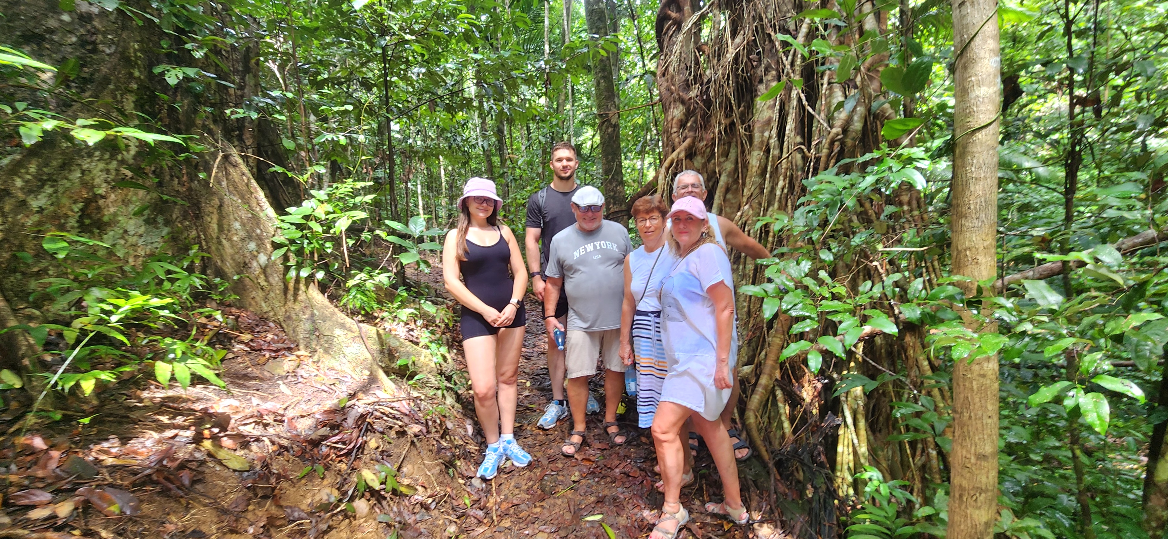 Waterfalls & Rainforest Bushwalk Eco Adventure