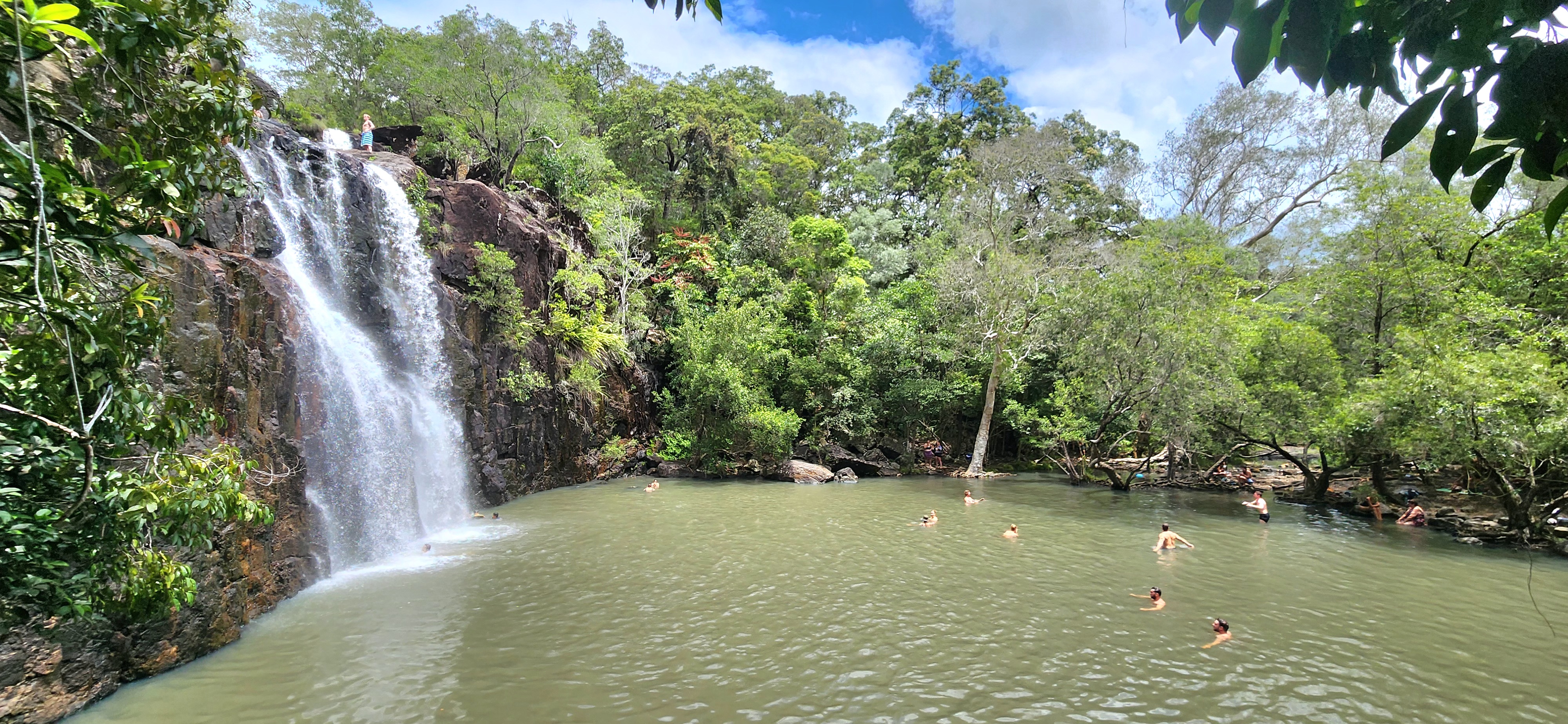 Waterfalls & Rainforest Bushwalk Eco Adventure